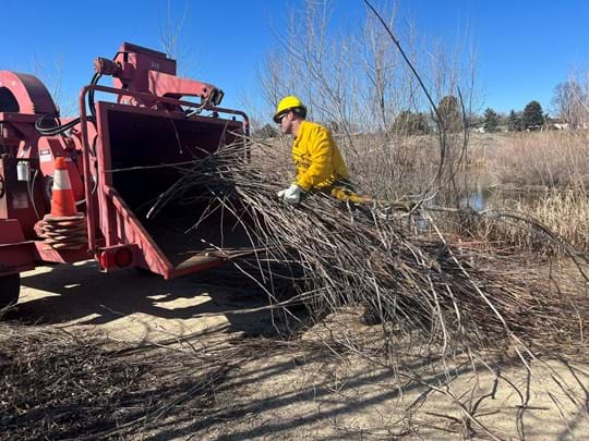 Firefighter putting yard waste into a large chipper machine.
