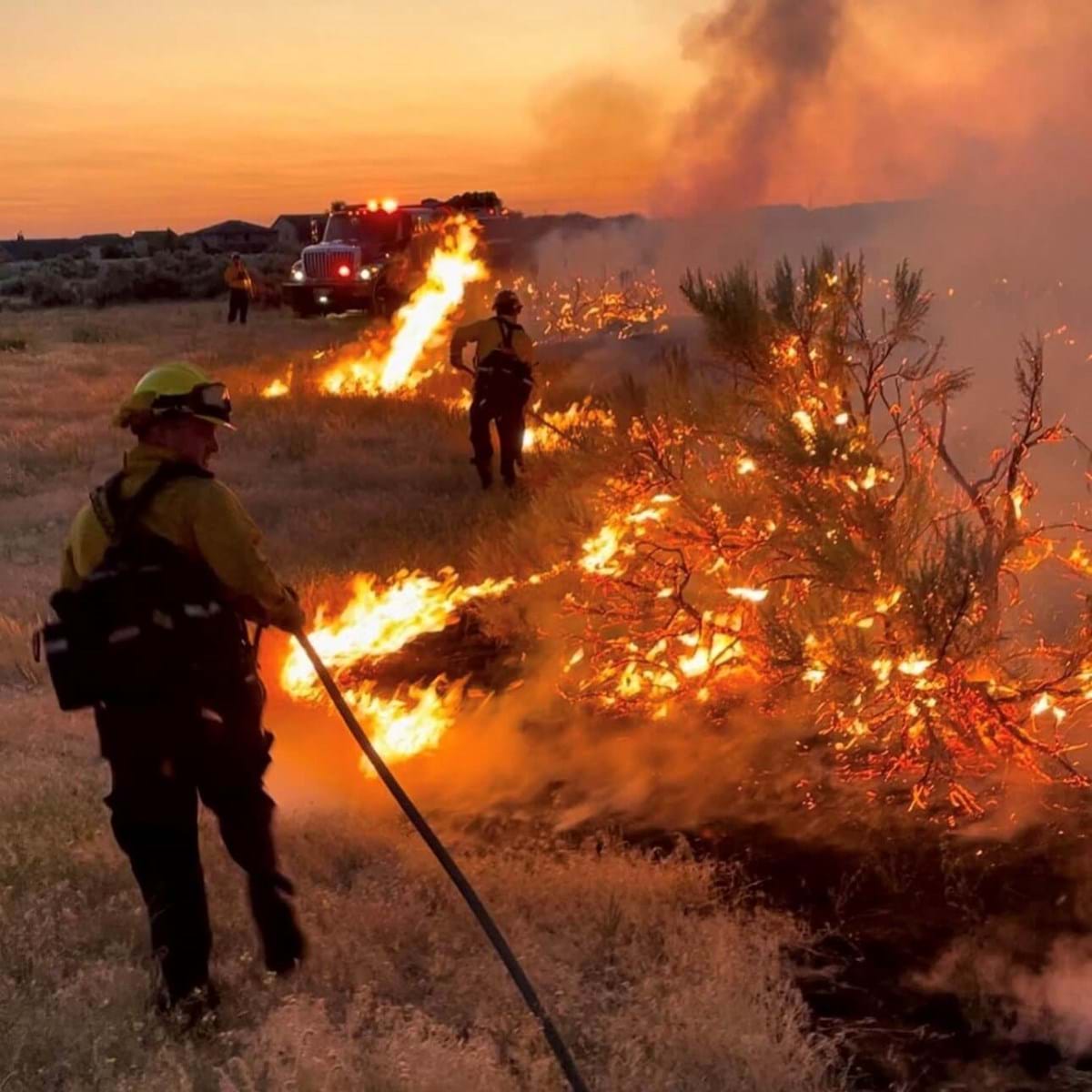 Firefighters in the foothills battling a wildfire.