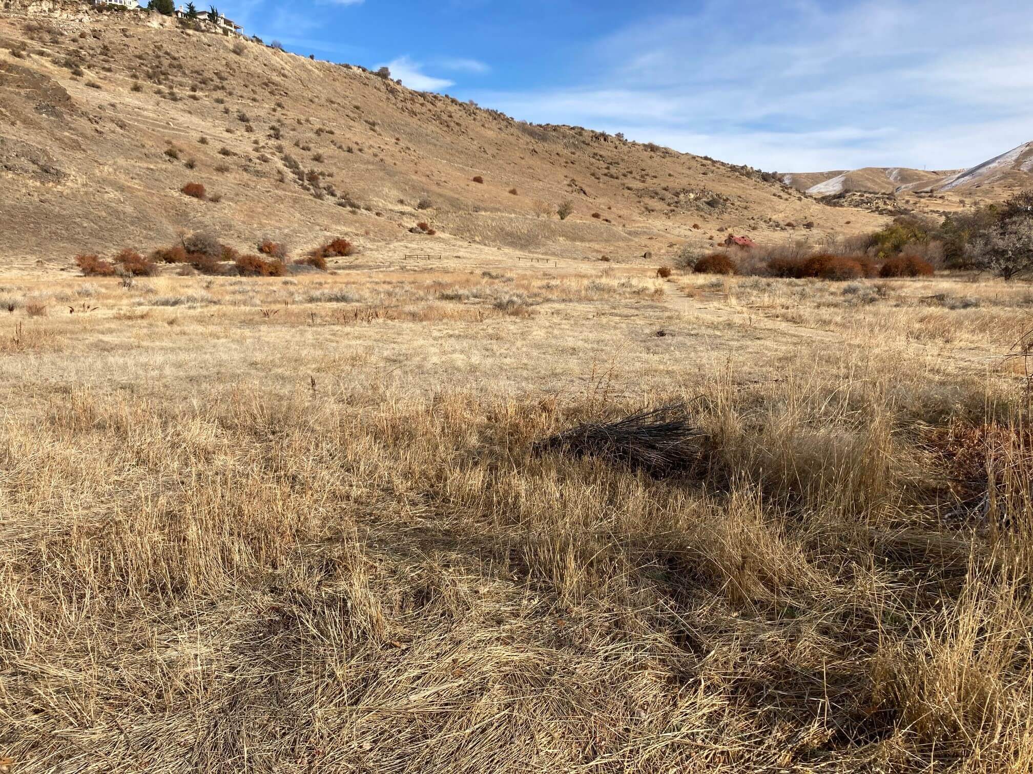 Chief Eagle Eye Reserve 