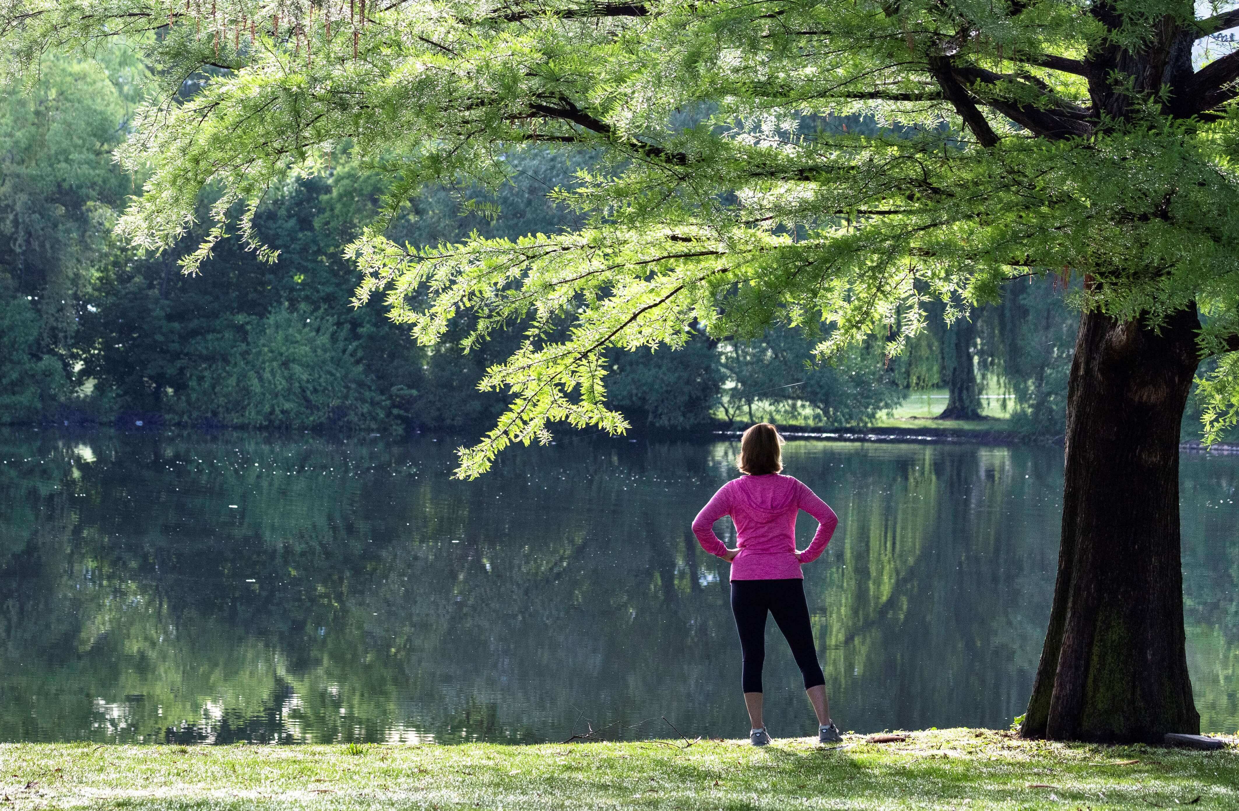 Carbon Neutrality By 2050