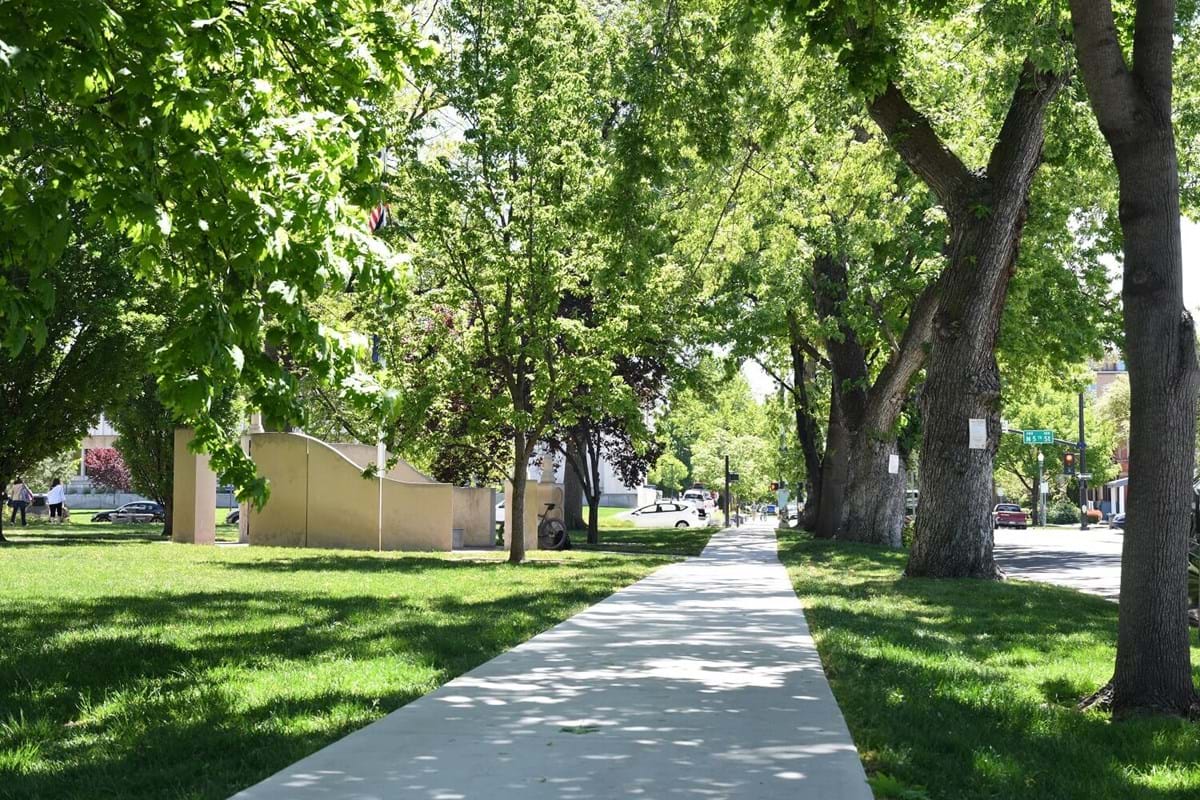 Tree lined sidewalk in downtown Boise