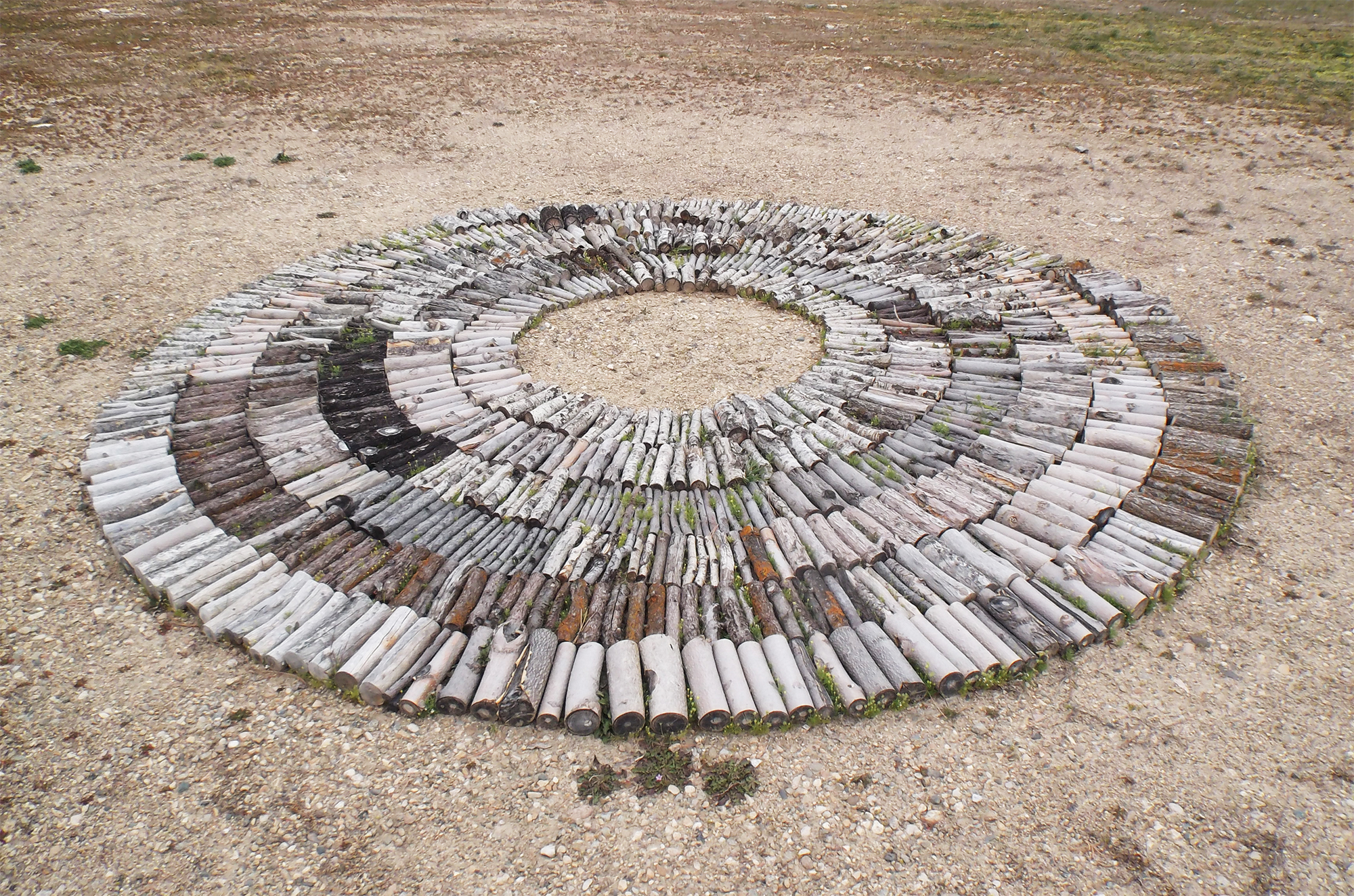 A ring of wood