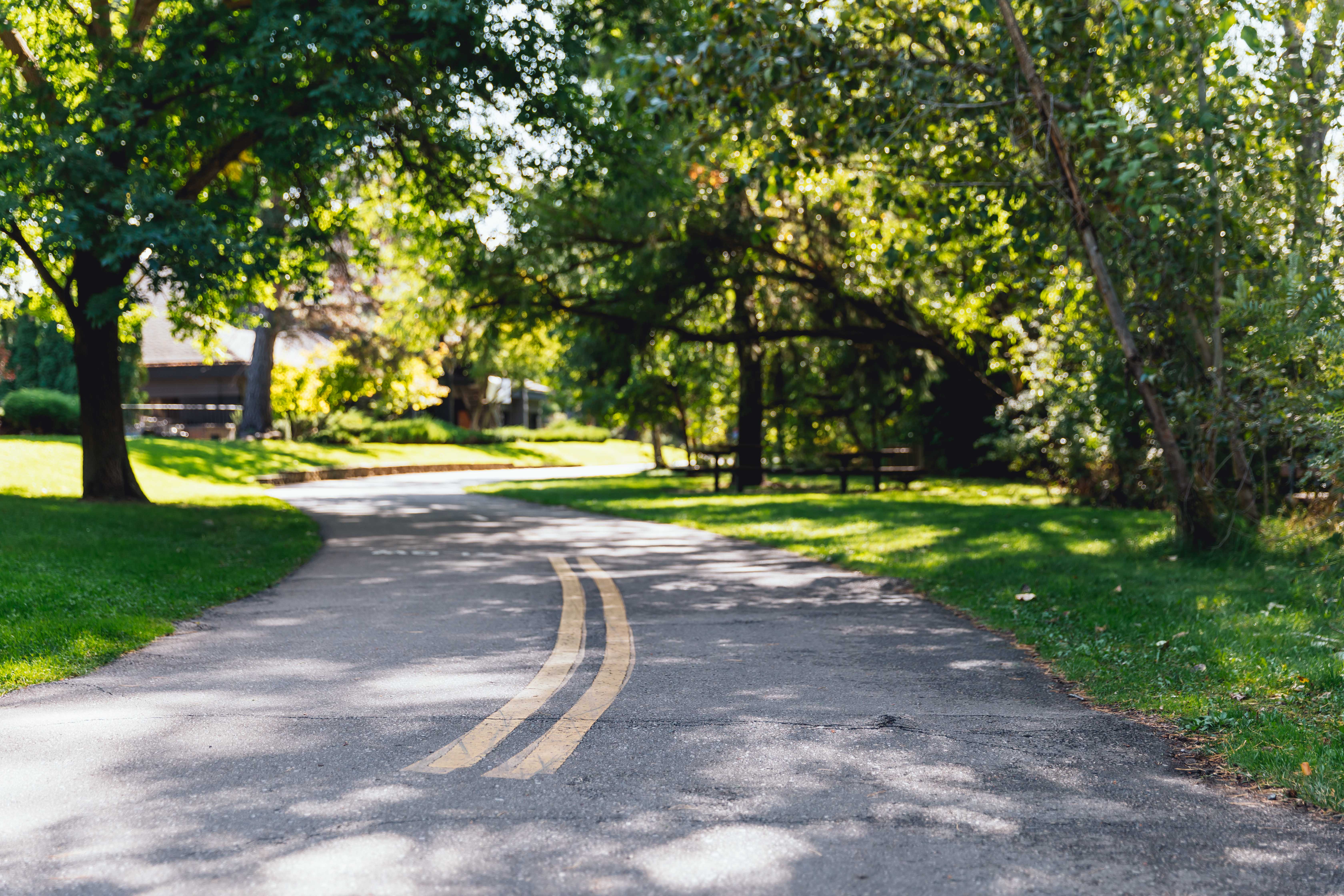 Boise Greenbelt pathway with green grass and trees on either side.