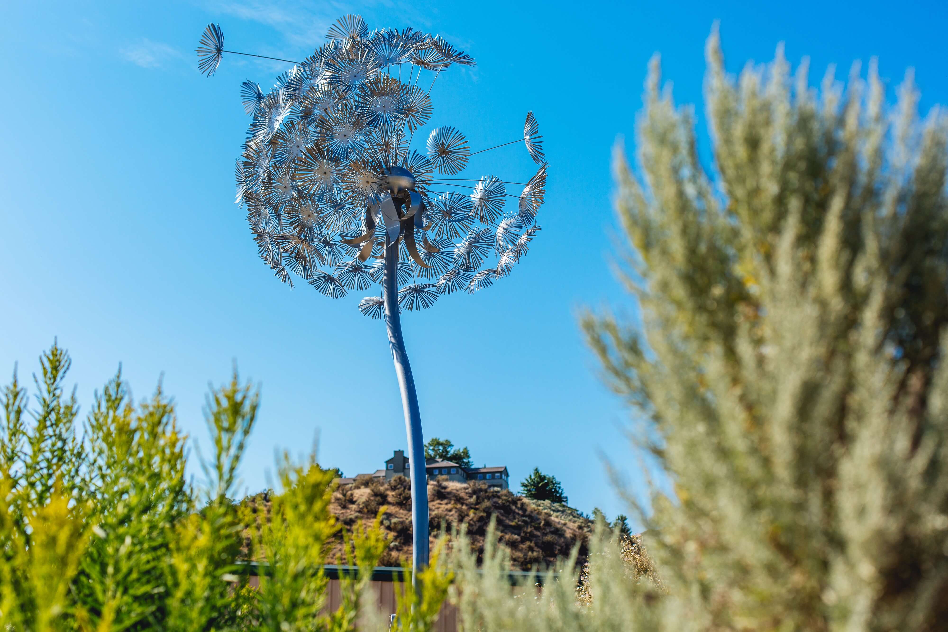 Jim Hall Foothills Learning Center