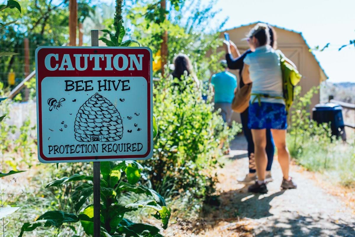 Caution Bee Hive sign