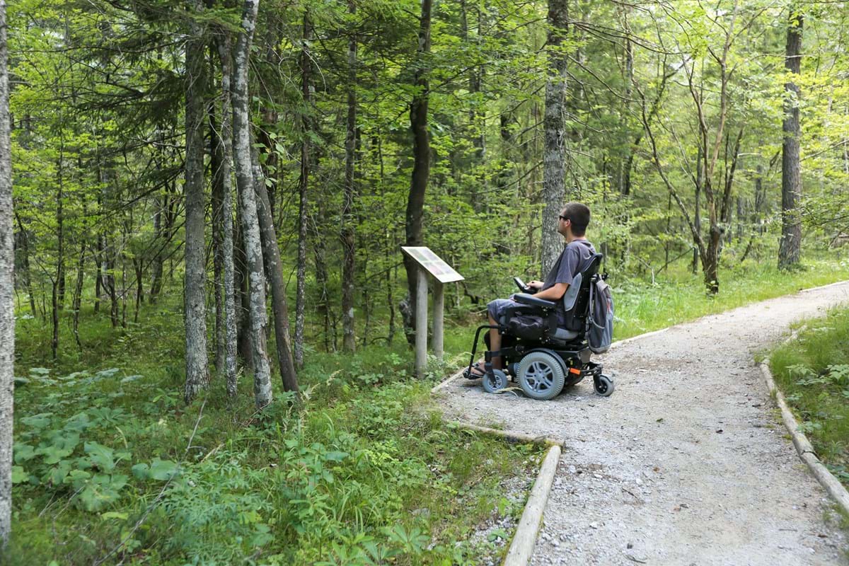 man in a wheelchair on pathway looking at information sign surrounded by trees