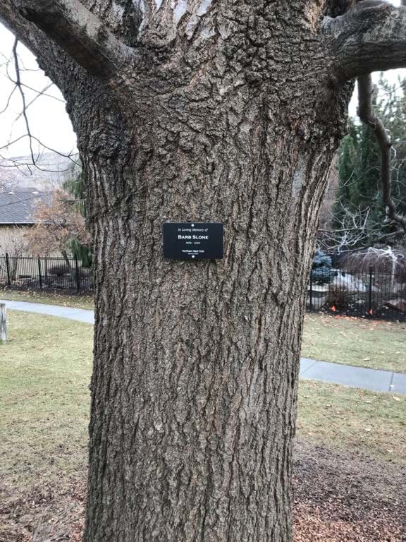 tree plaque in tree in park