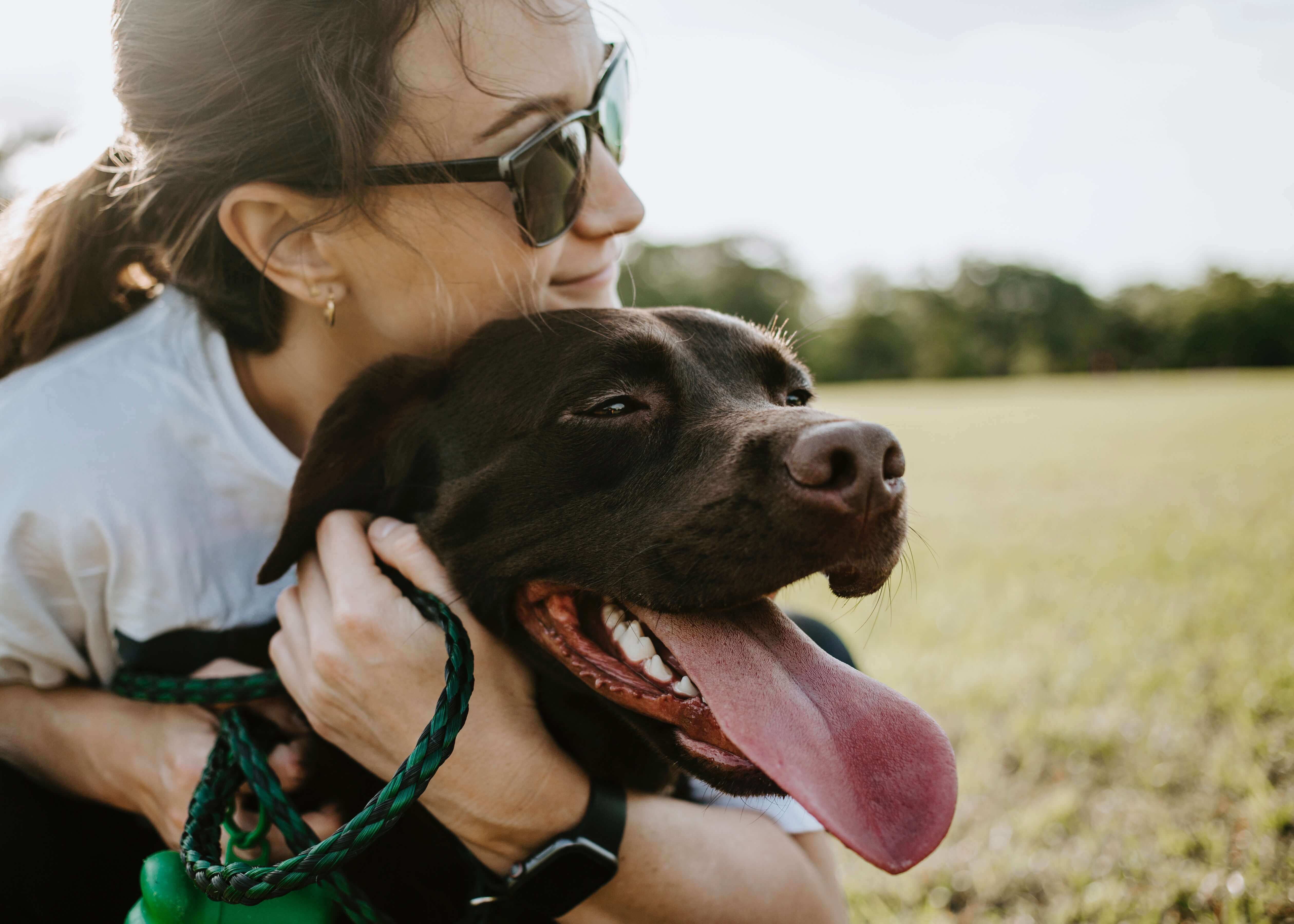 girl hugging chocolate lab both looking to open space outdoors