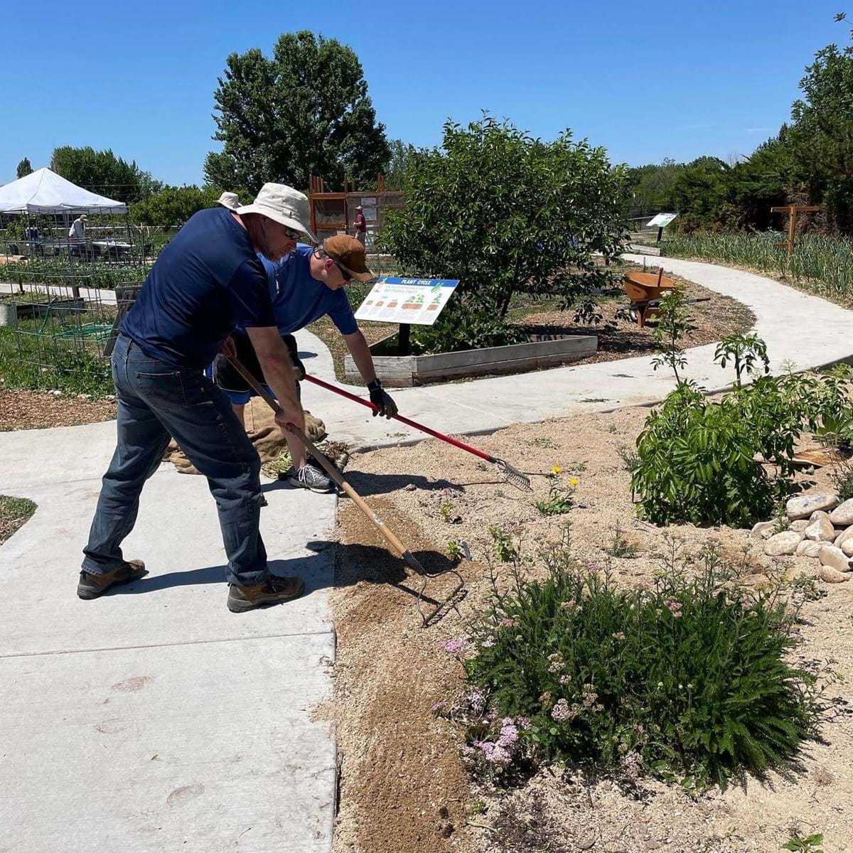 two men raking gravel near bushes at Boise Urban Garden School