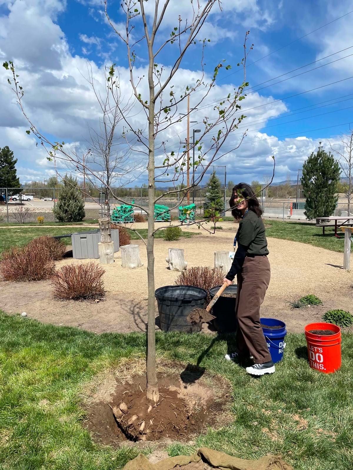 High school student shoveling dirt into tree well to plant trees in a park