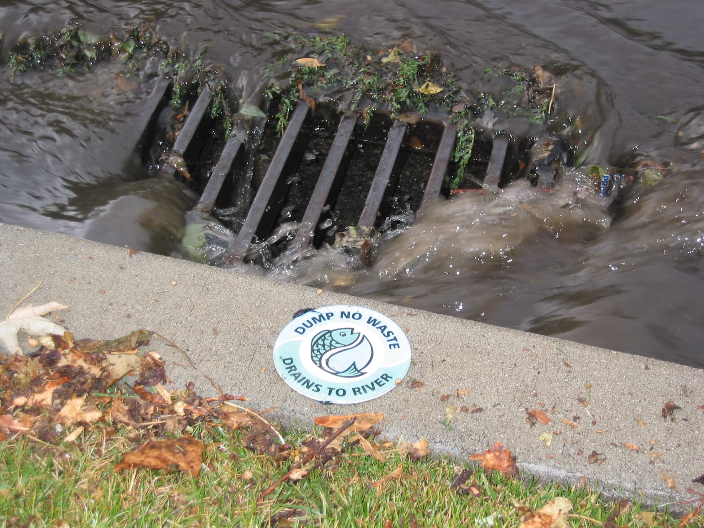 Storm Drain Cover for Runoff Control