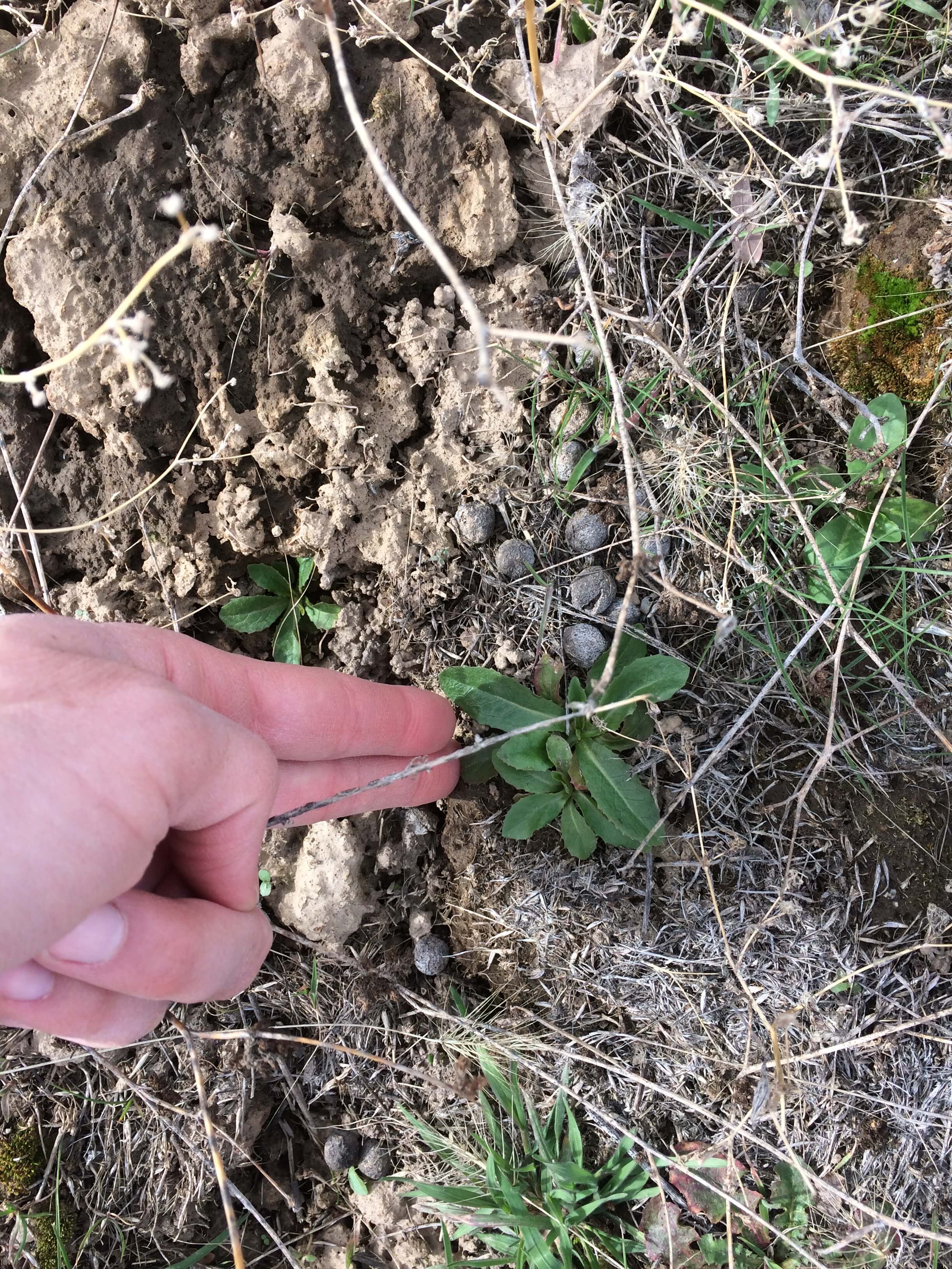 Explore Boise's Natural Heritage