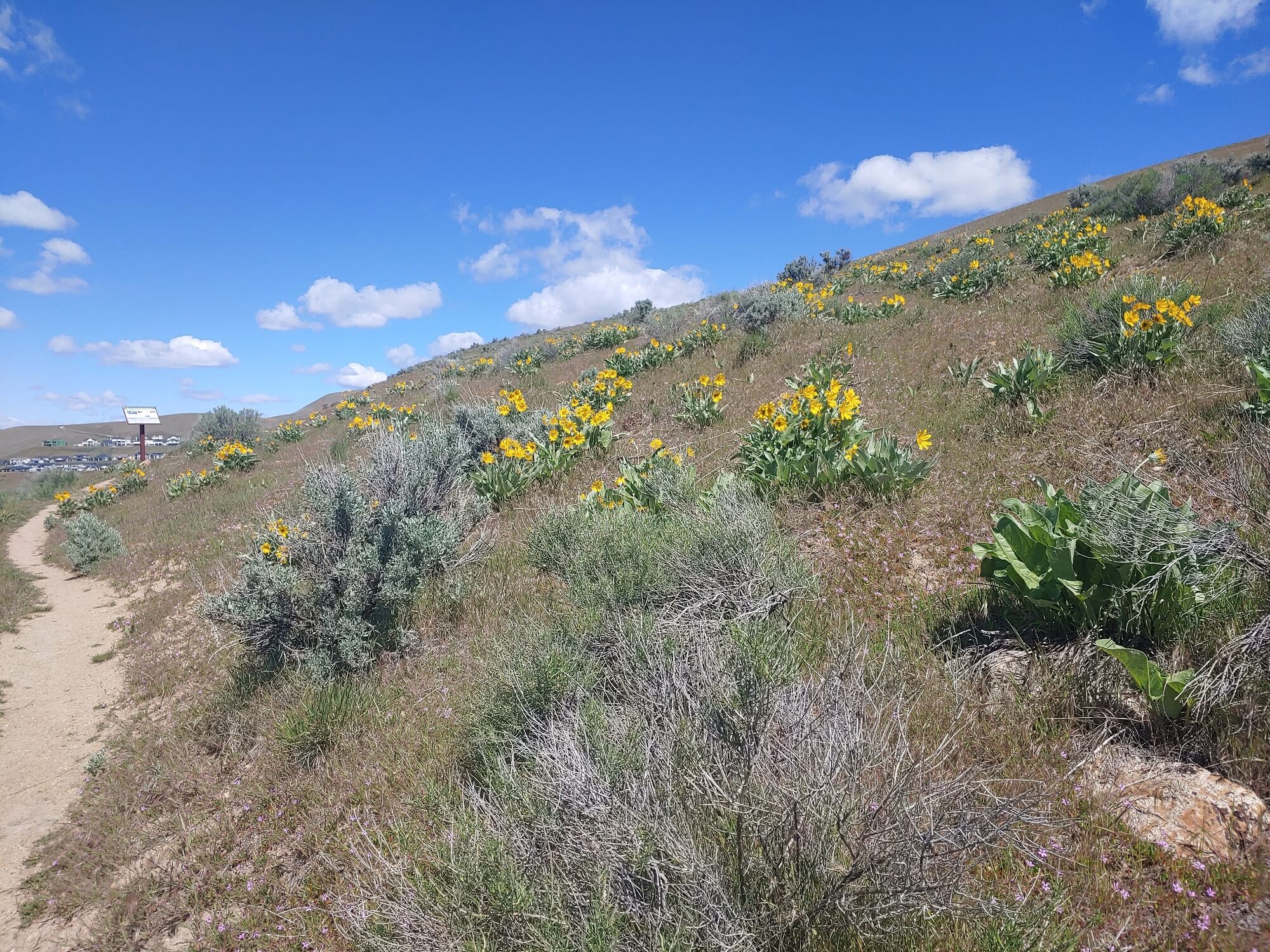 Peace Valley Overlook Reserve
