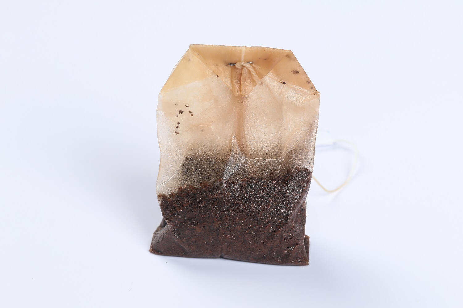 Tea Bags and Tea Leaves City of Boise