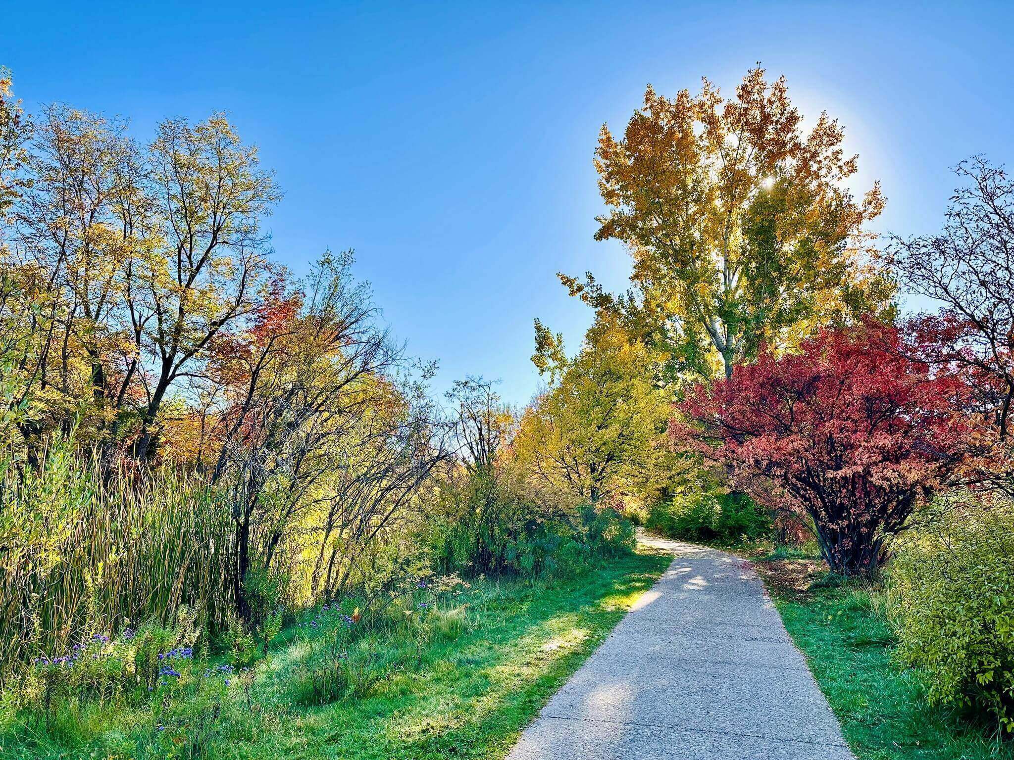 Parks and Recreation