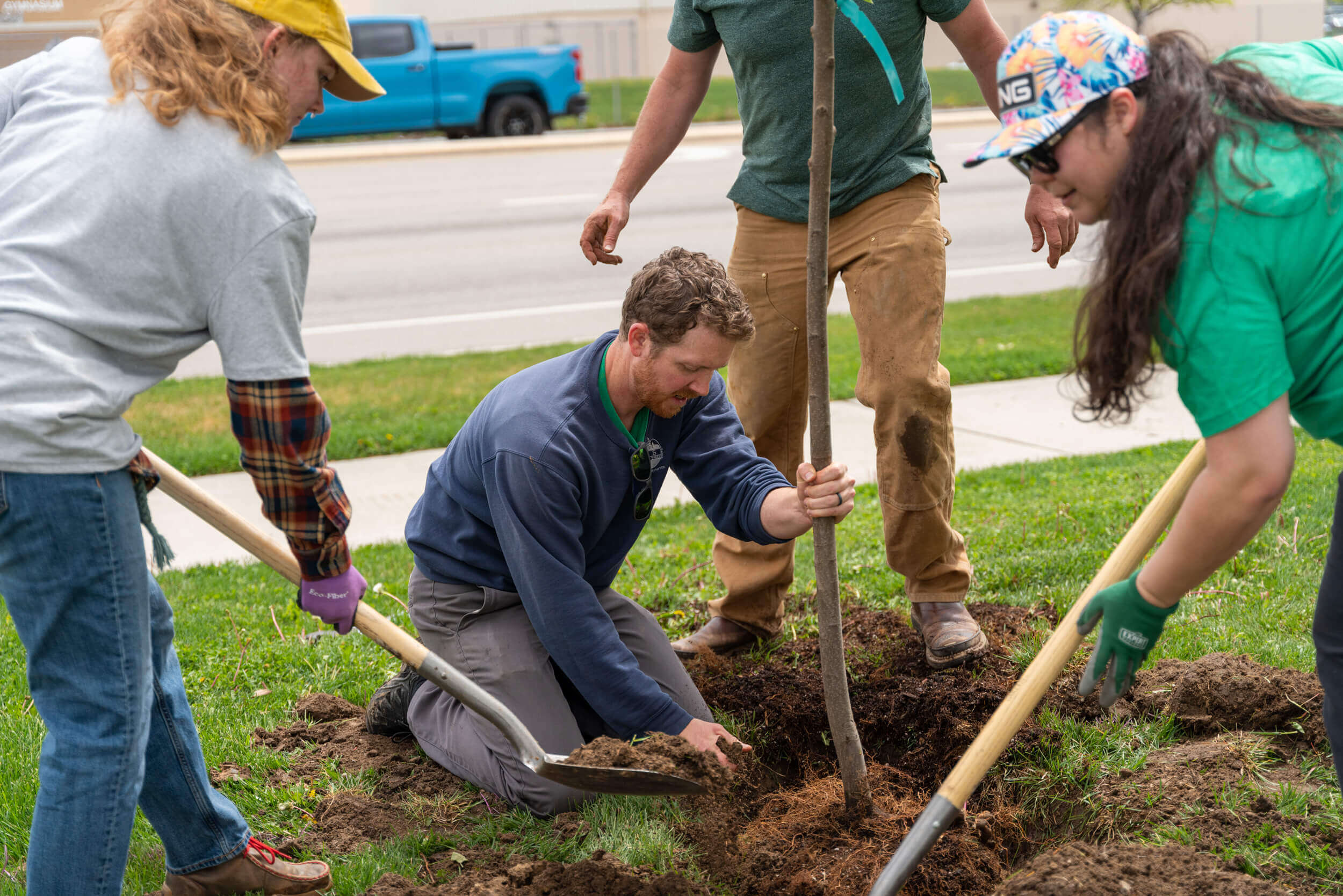 People planting a tree