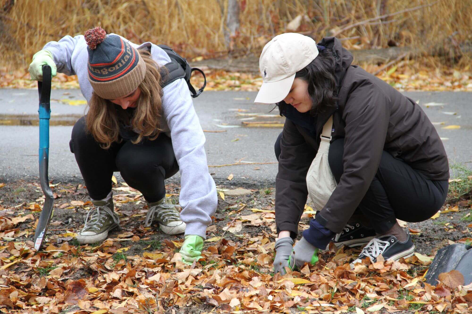 Two women gardening in a yard filled with autumn leaves.