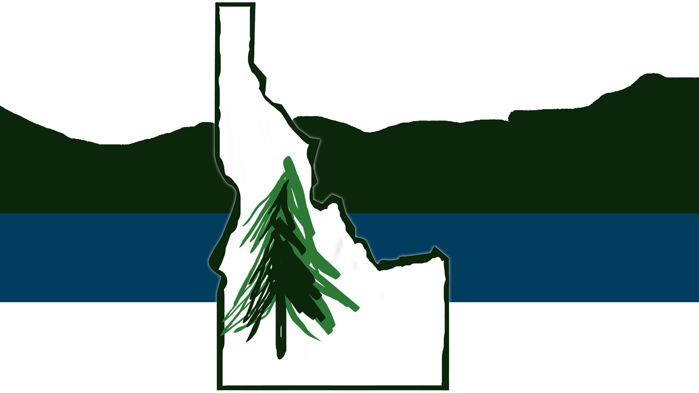 Flag design submission