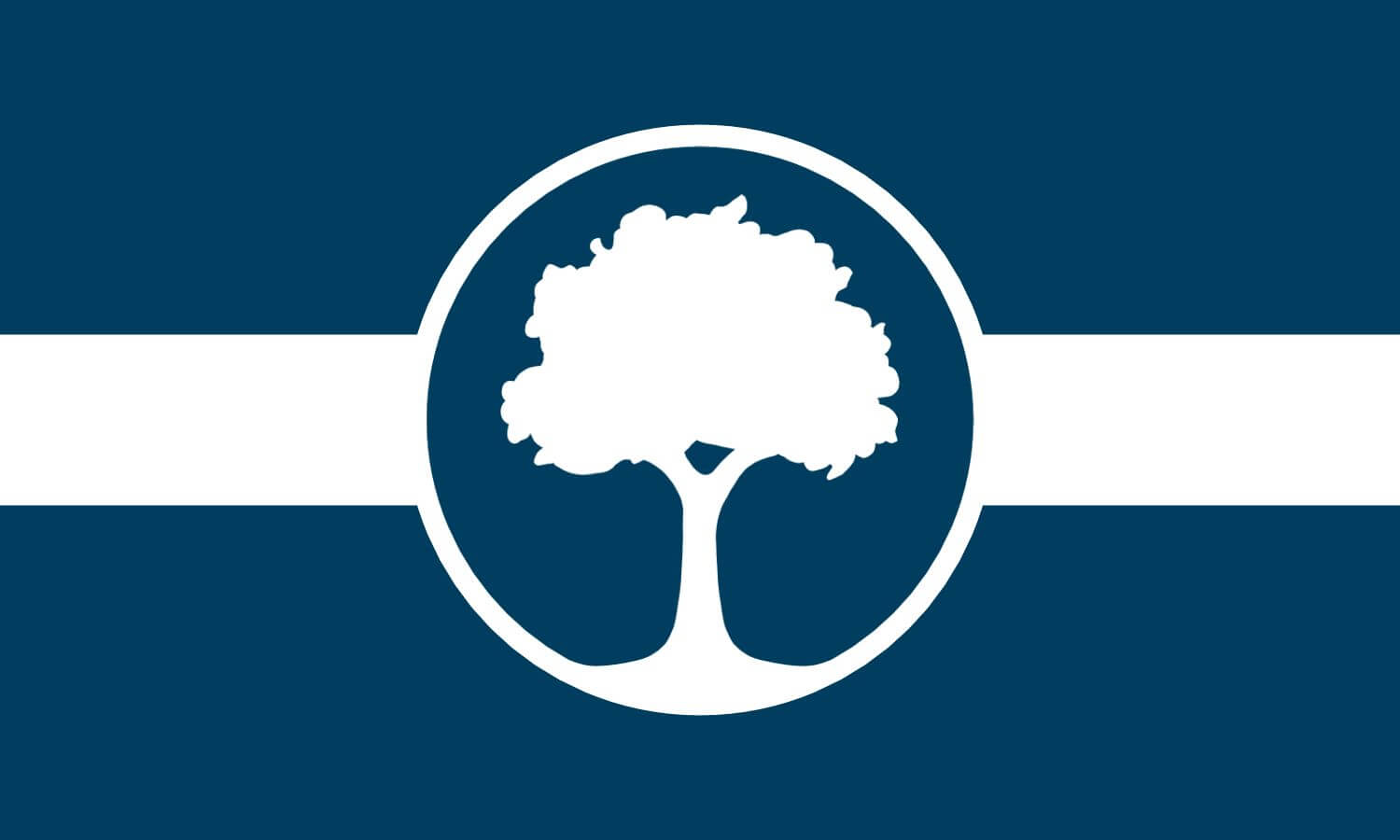 Flag design submission