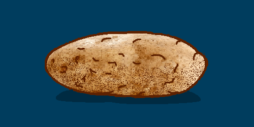 Flag design submission