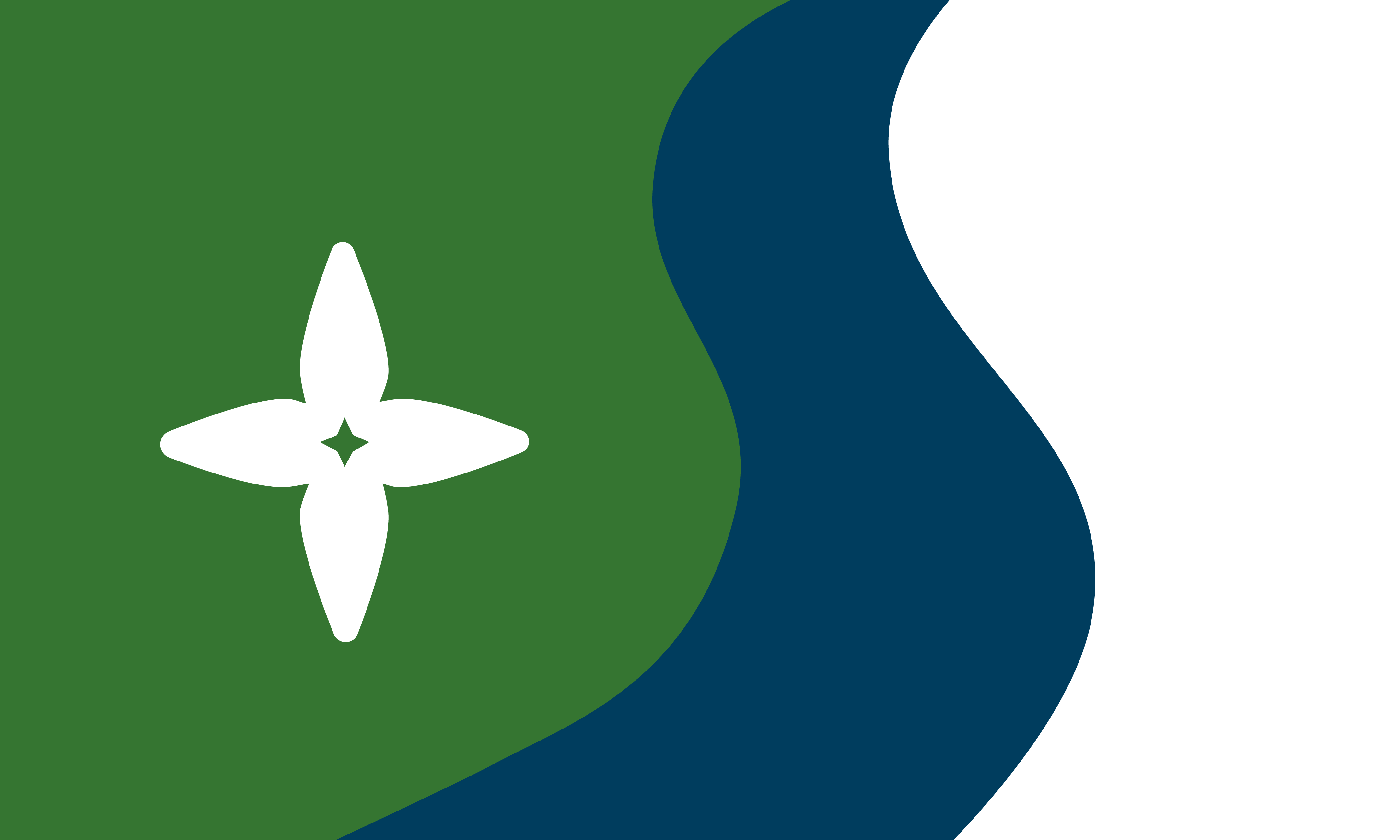 Flag design submission