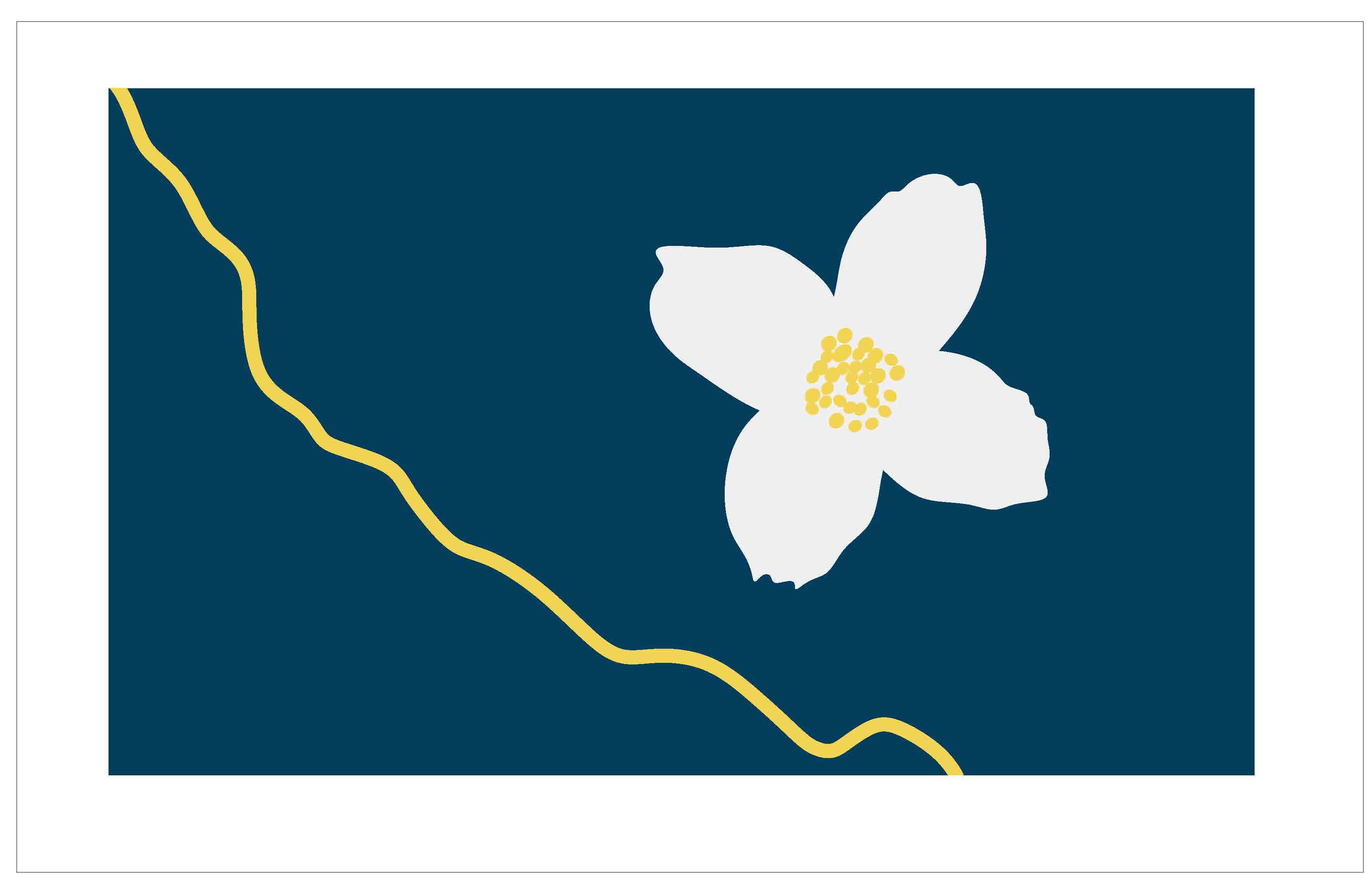 Flag design submission