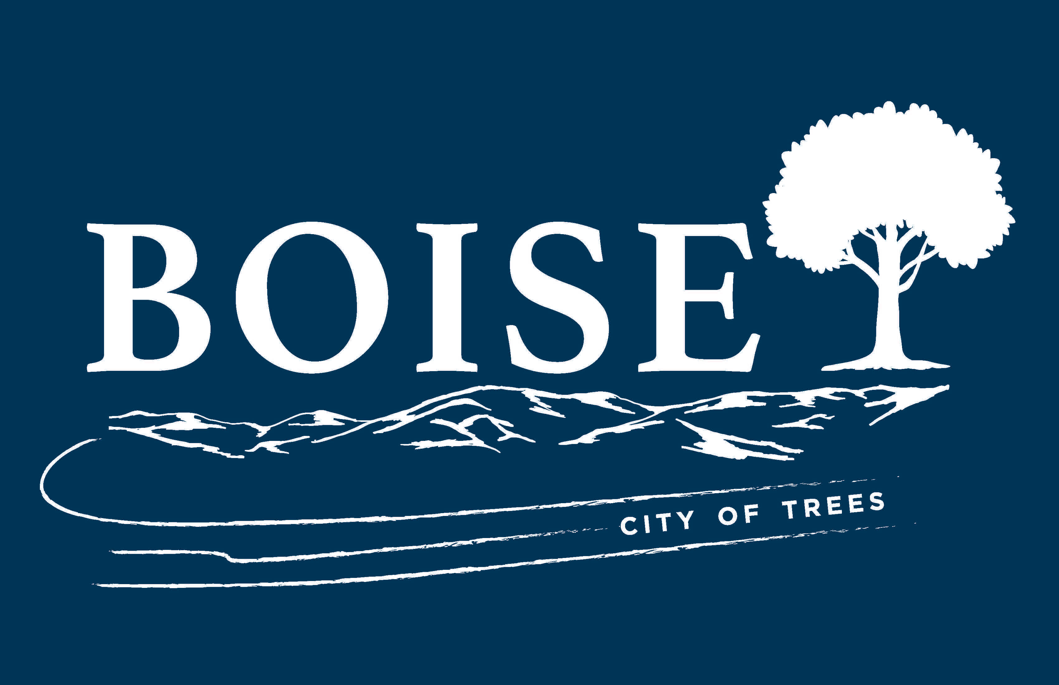 Flag design submission