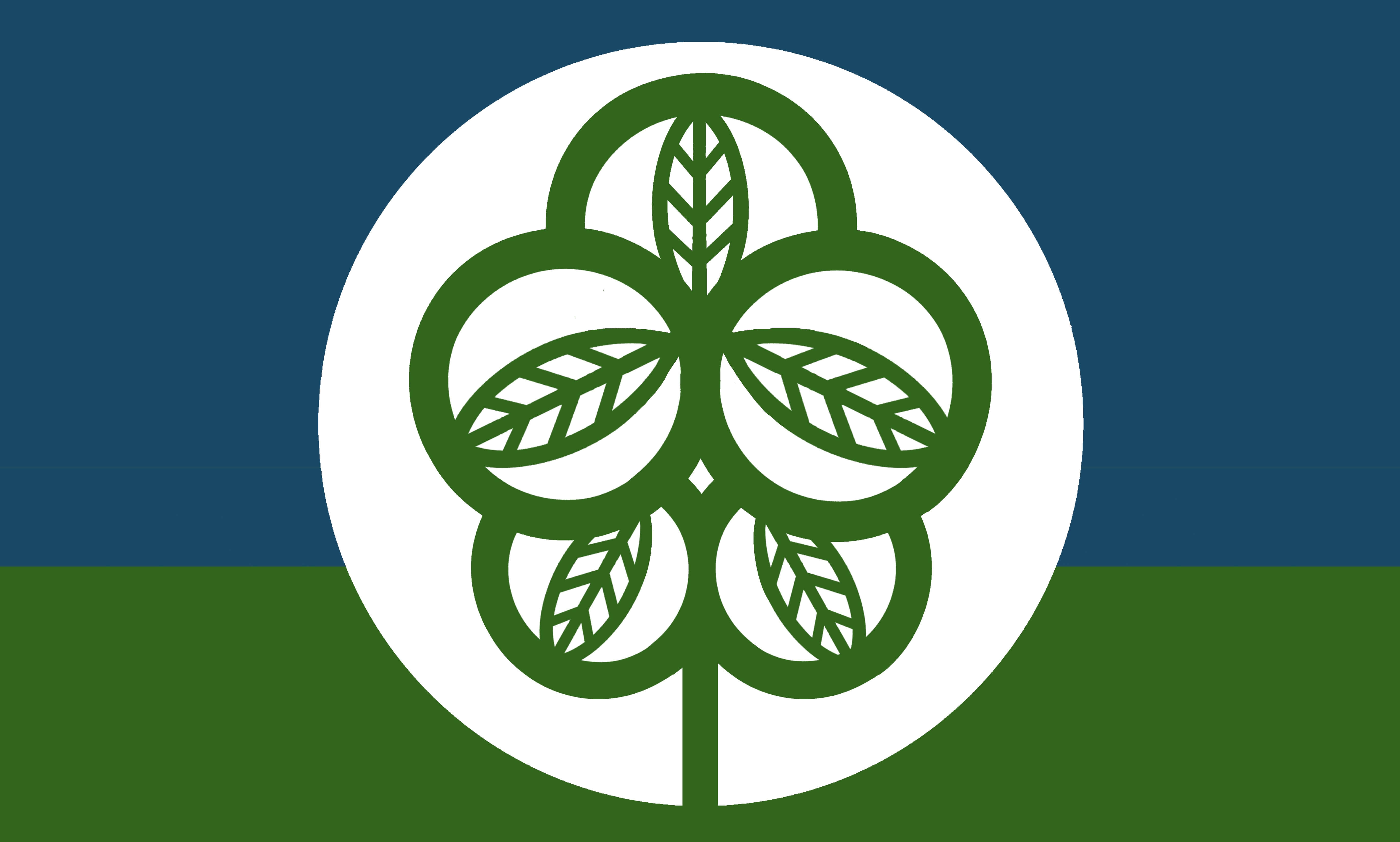 Flag design submission