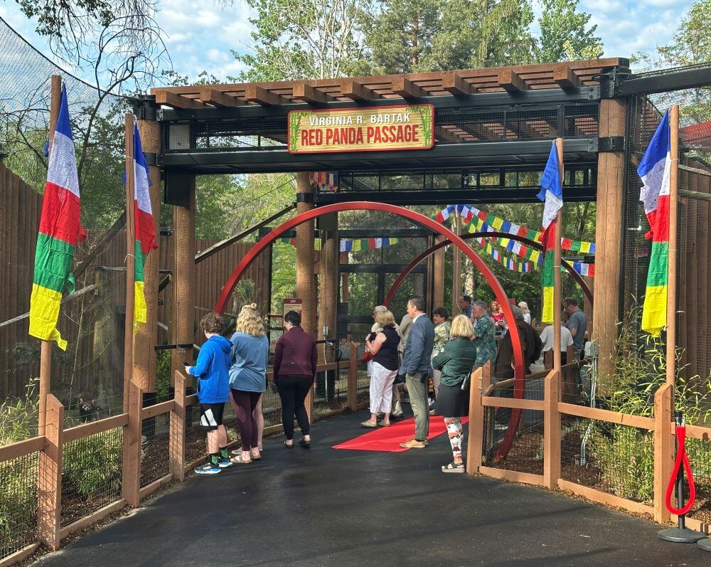 Red Panda Passage Grand Opening