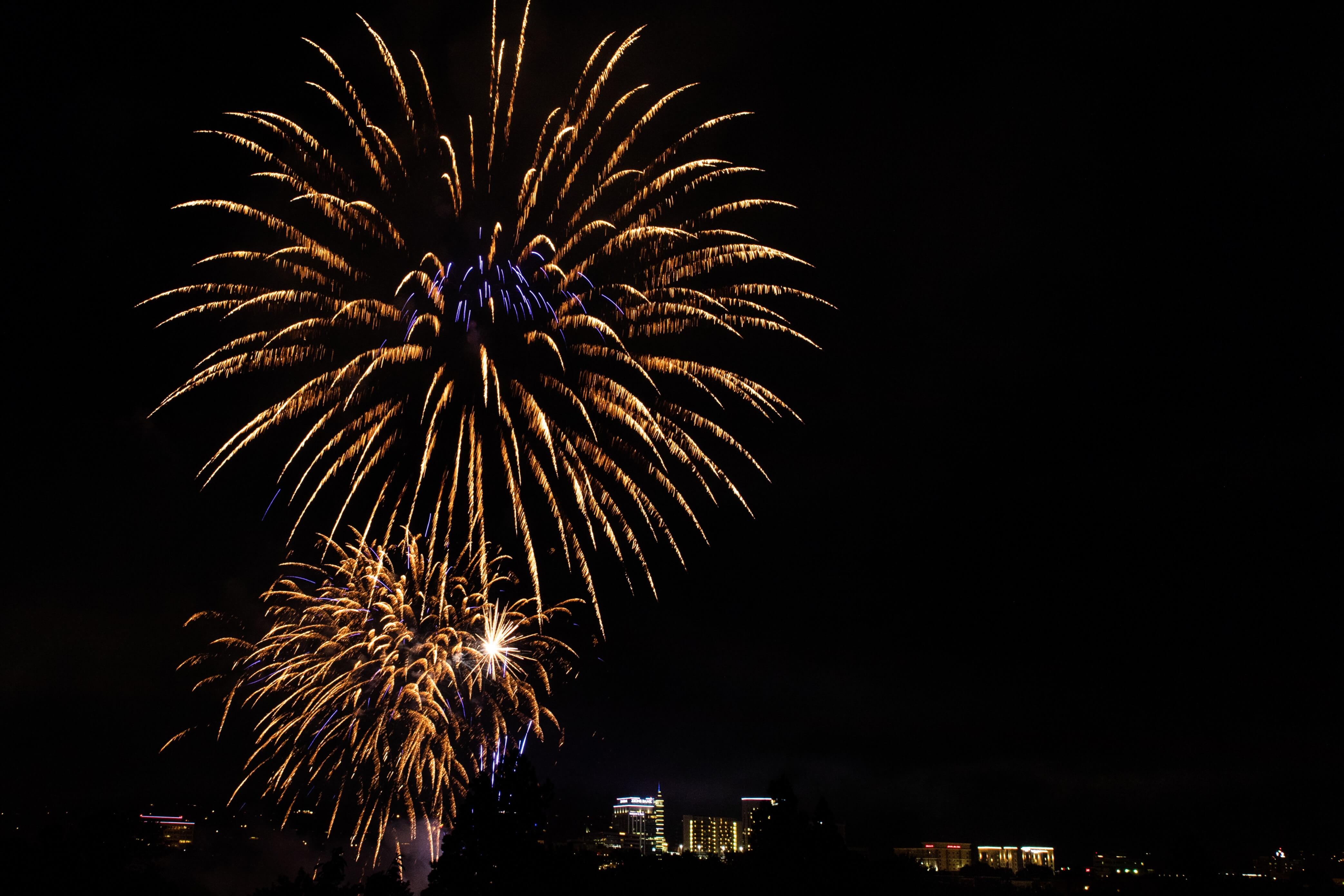 Fireworks over Ann Morrison Park