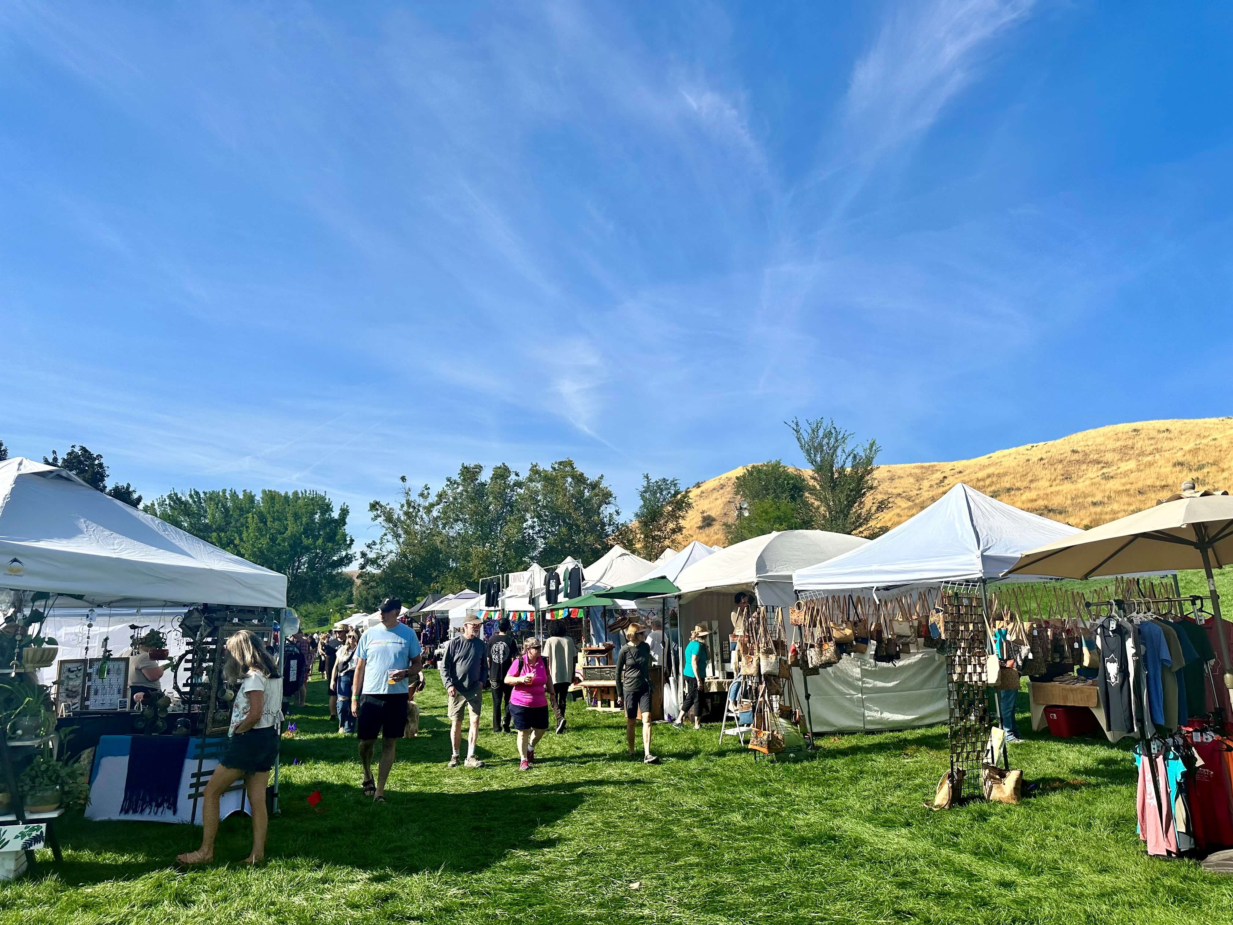 Hyde Park Street Fair in Camel's Back Park