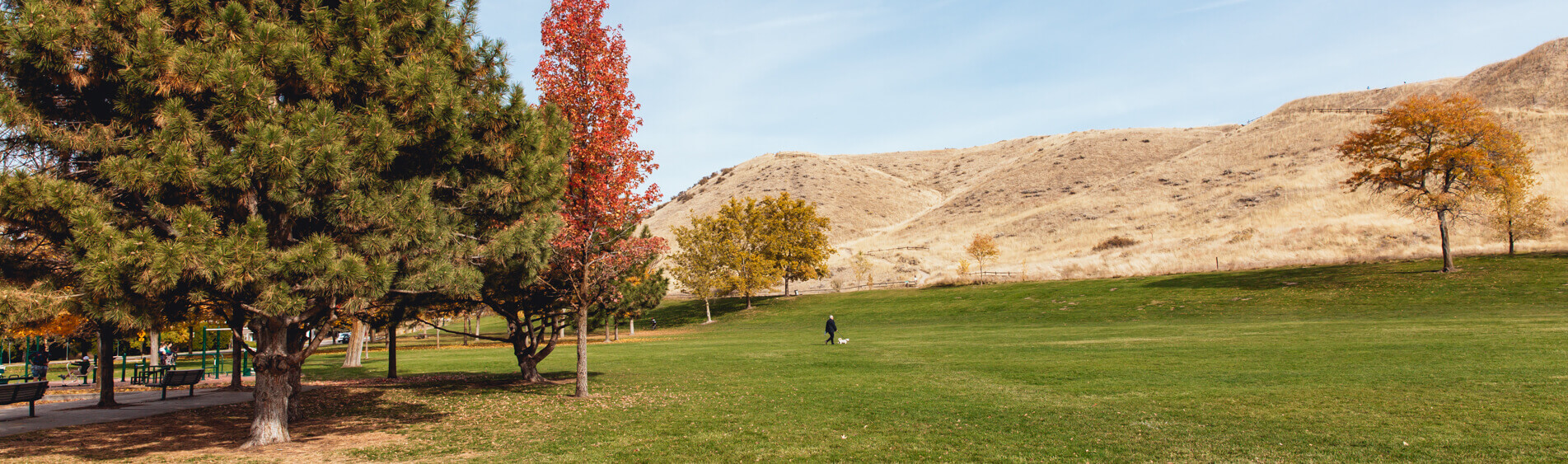 Camel Back Park