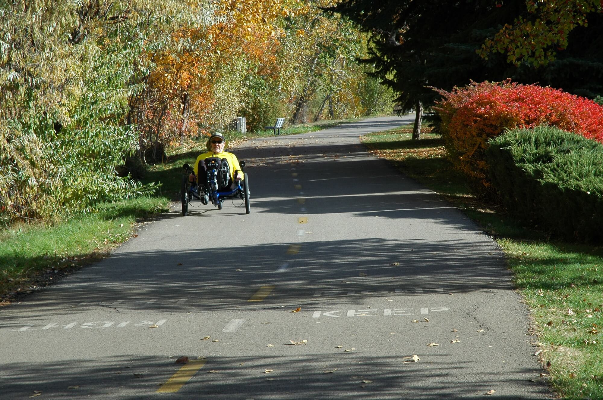 Person bicycling on Boise Greenbelt with greenery on either side of the Greenbelt.