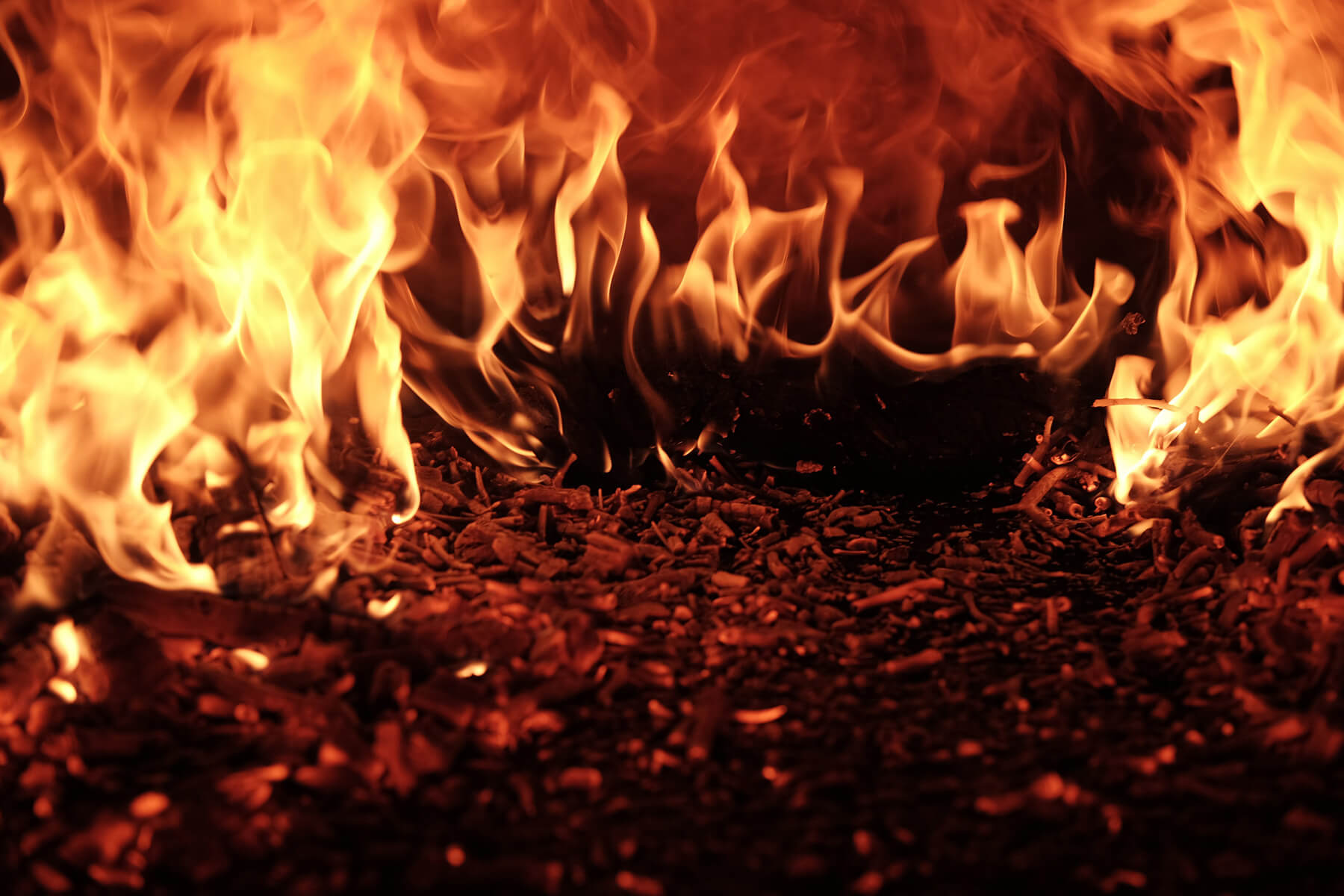Fire burning on the ground