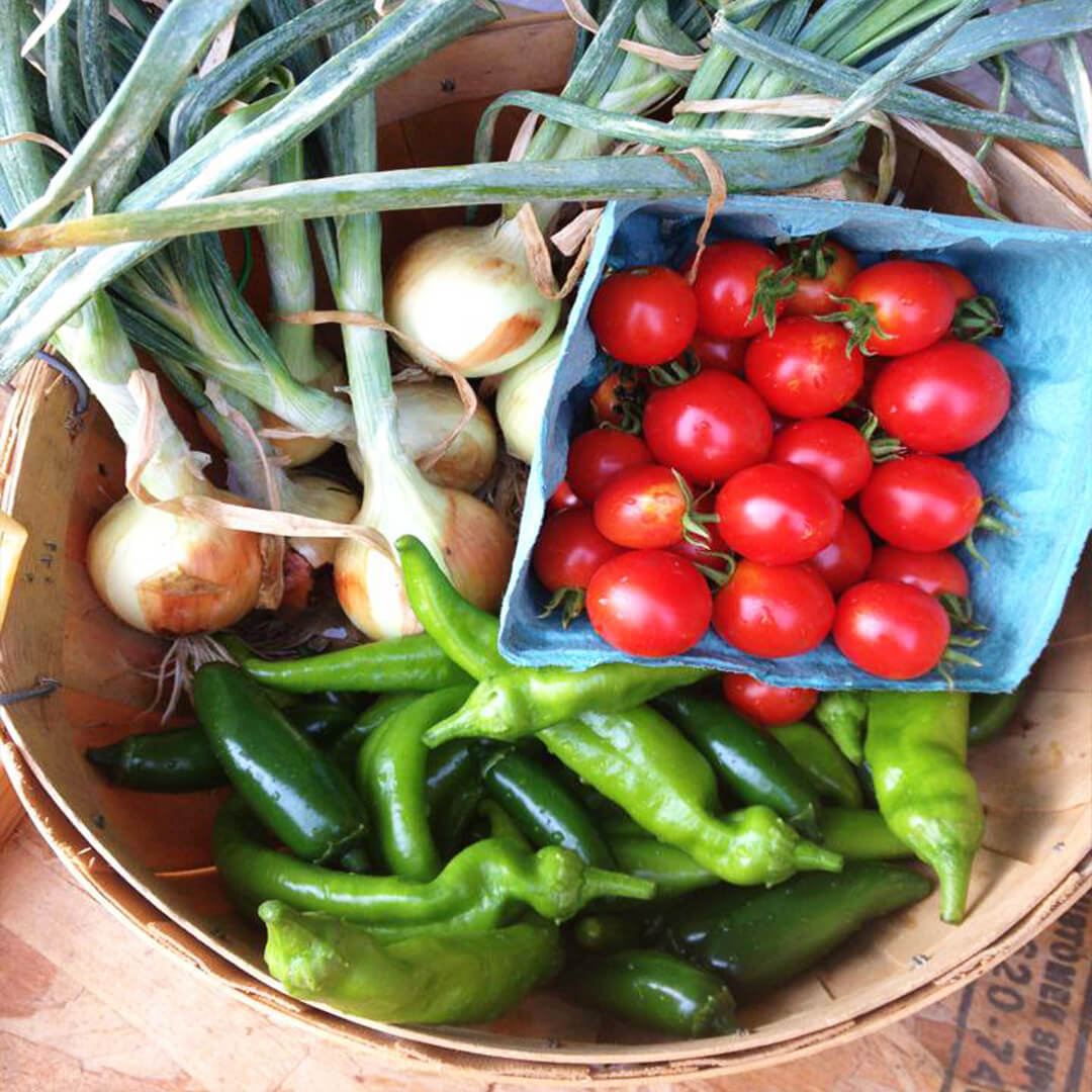 Boise Urban Garden School