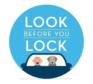 Look Before You Lock sticker