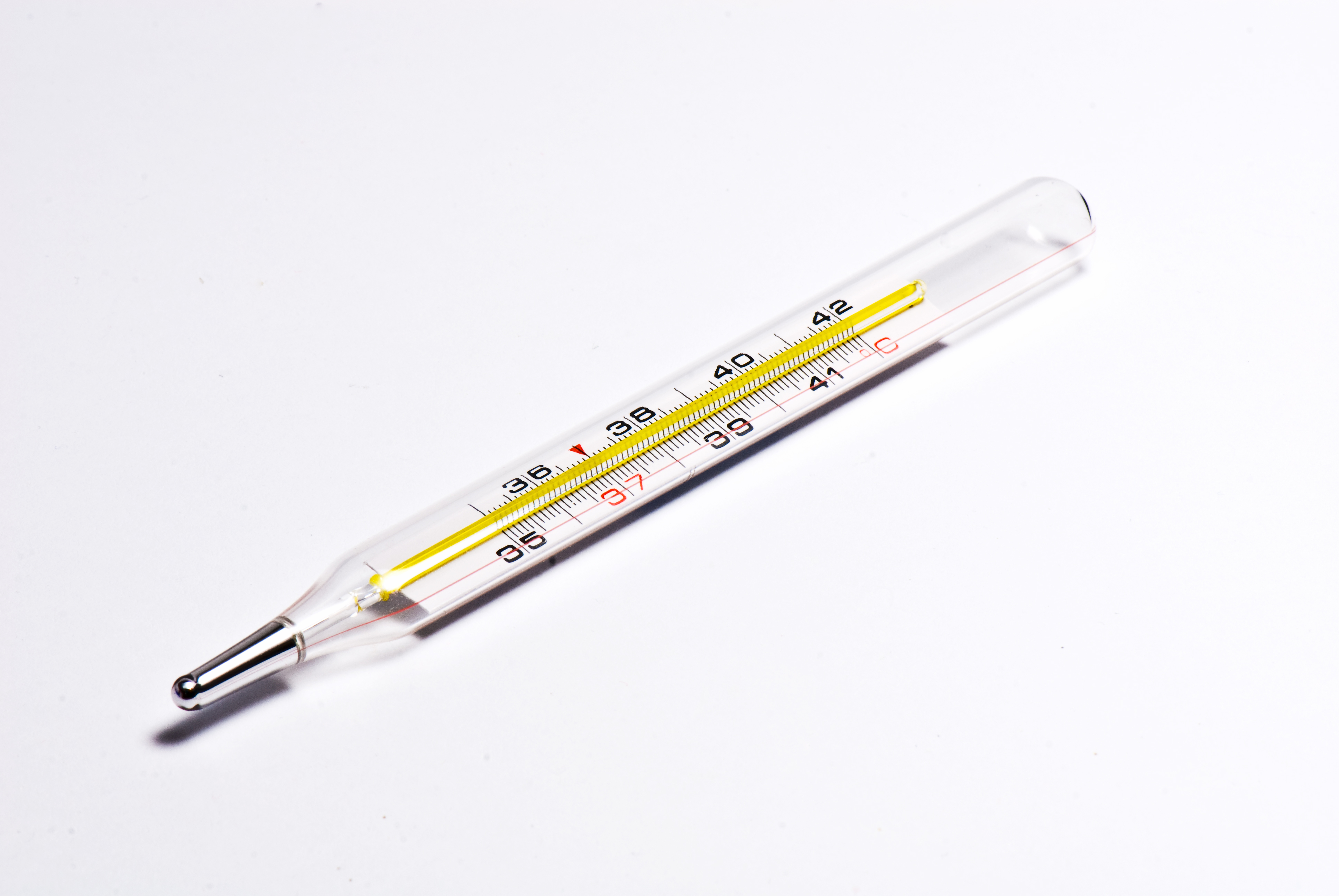 Mercury Thermometers City of Boise