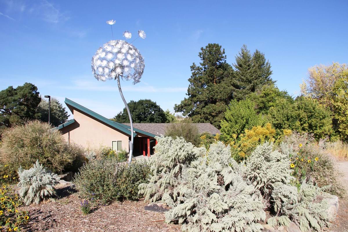 A building with large dandelion sculpture and drought tolerant plants around building